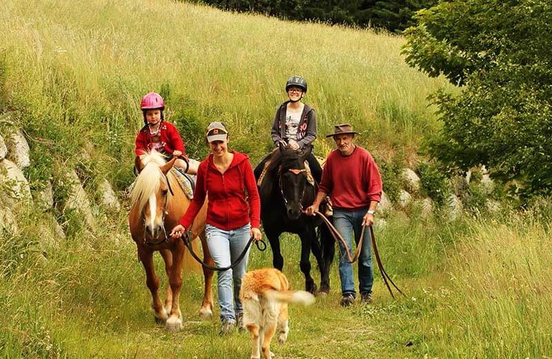 Reitstall Sonnenhof in Pichl