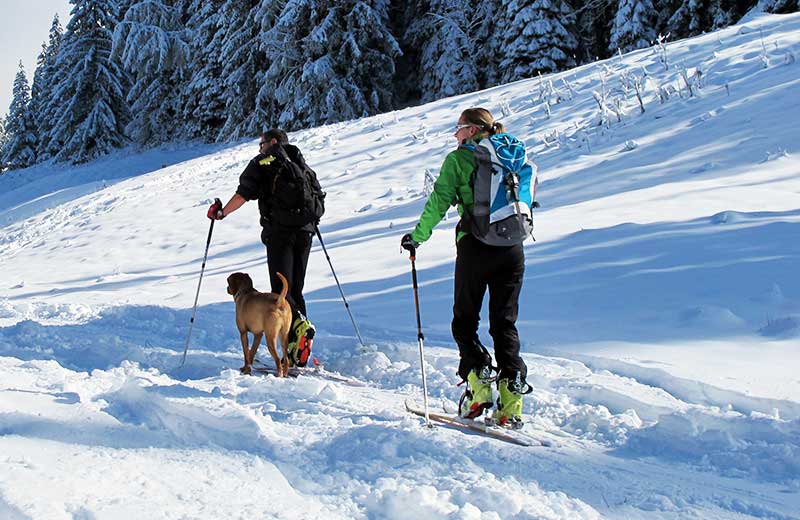 Skitour Uwaldalm und Spielbühel