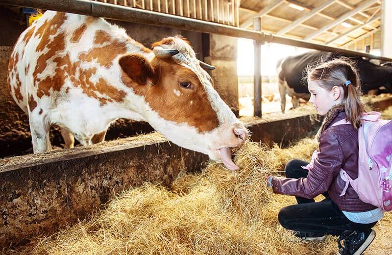 Urlaub auf dem Bauernhof